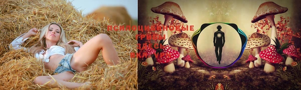 MESCALINE Алексеевка