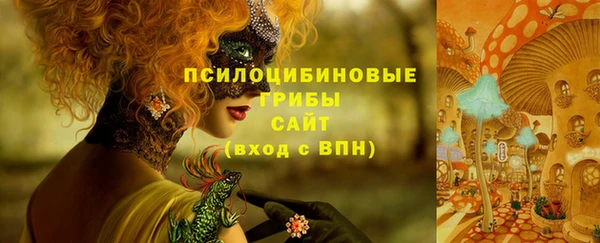 дурь Алзамай